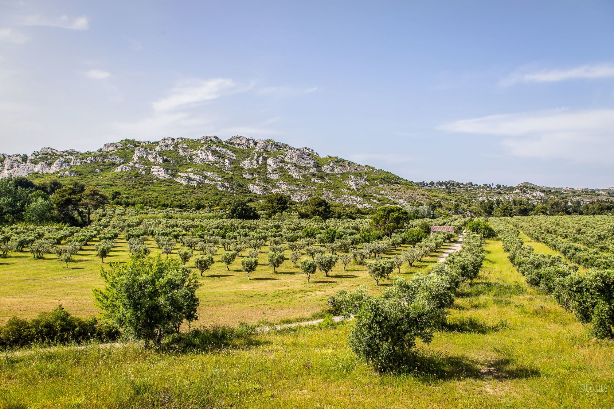 ©Studio_Julius_pro_tour_alpilles_caisses_jean