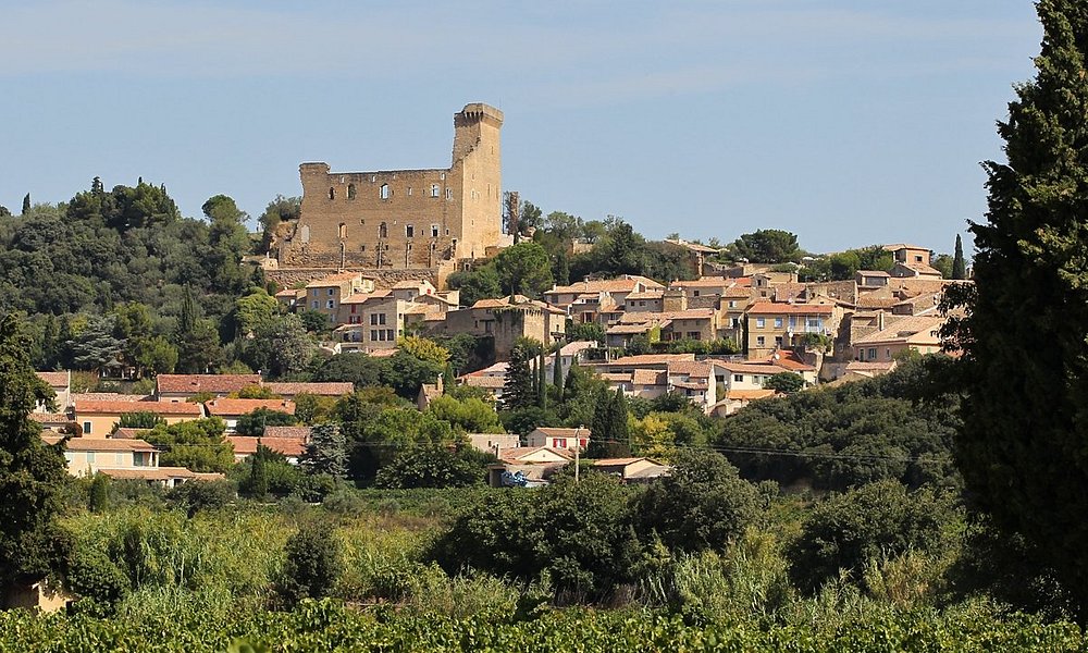 La Mirande Chateauneuf Du Pape Wine Tour Lavender Fields Provence La Mirande Chateauneuf Du Pape Wine Tour Lavender Fields Provence