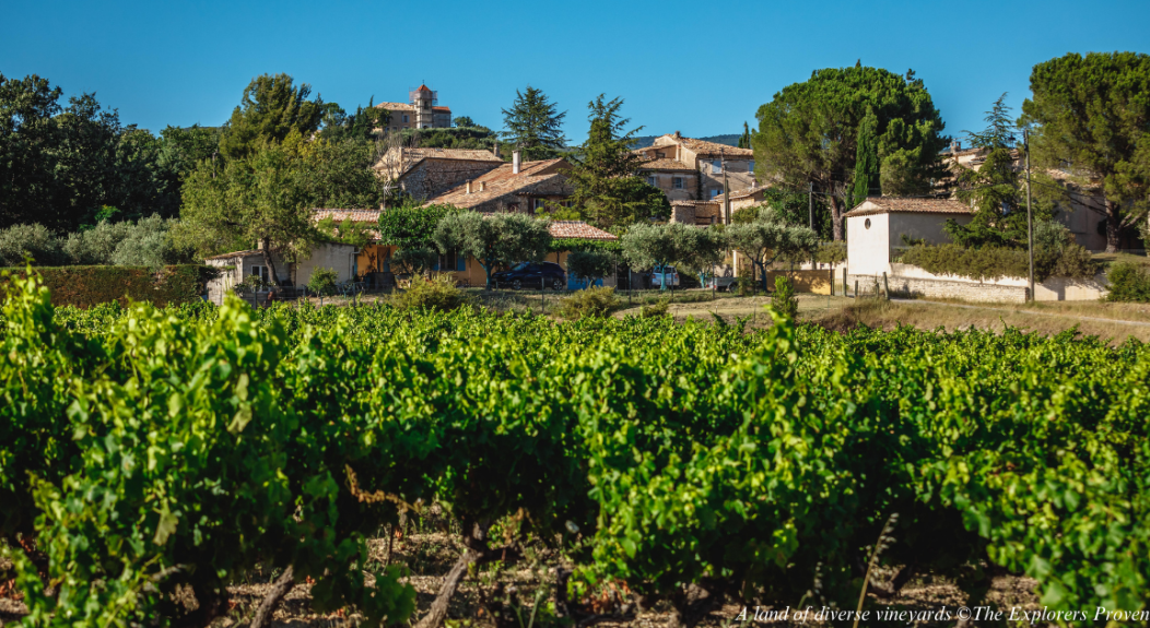 Provence wine tours An exceptional wine and gastronomic stop – Avignon – Capital of the Côtes du Rhône