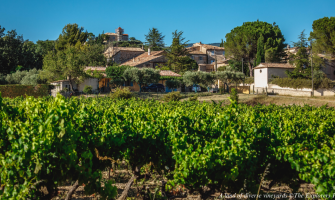 Provence wine tours An exceptional wine and gastronomic stop – Avignon – Capital of the Côtes du Rhône