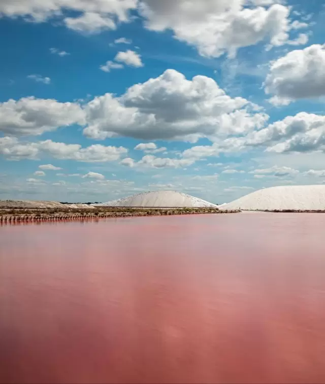 Les salins