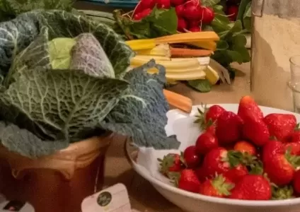 Cooking classes