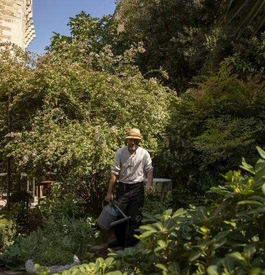 Un désordre organisé, cultivé avec soin
