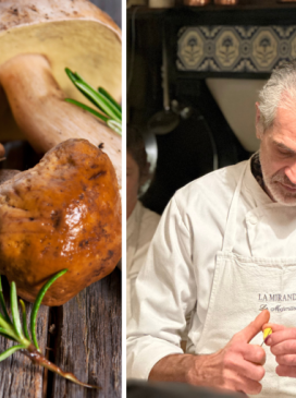 Seasonal mushrooms - Pascal Barnouin