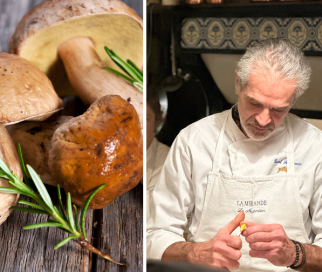 Seasonal mushrooms - Pascal Barnouin